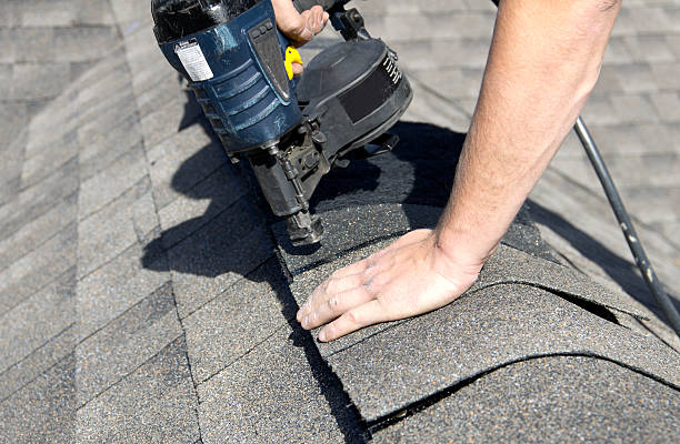 Best Roof Maintenance and Cleaning  in , CA